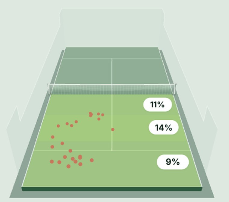 Court map showing where errors landed, with percentages by zone